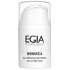 Концентрат биоактивныйс альфа-липоевой кислотойAge-Defence Lipoic Acid Essence