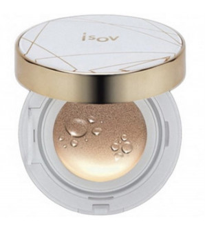 Perfect Cover Tok Tok Cushion 21